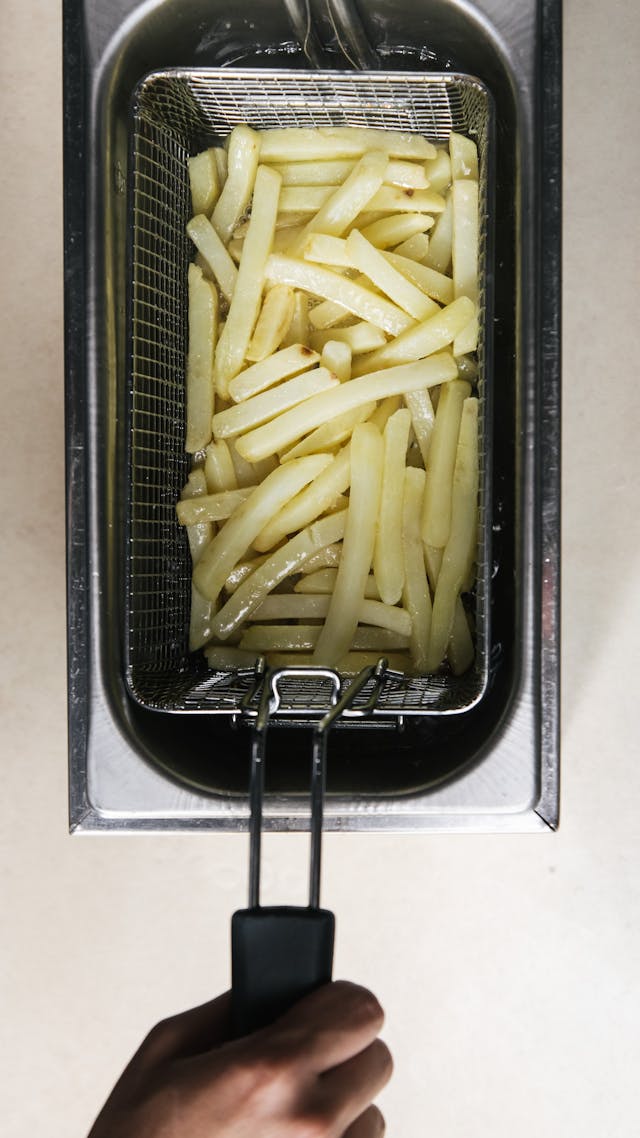 Fryer Alat Penggorengan Terbaru Tanpa Minyak
