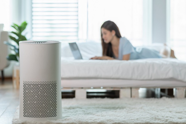 Fungsi Air Purifier Rahasia Udara Bersih di Rumah